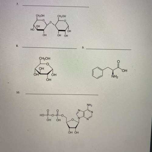 Macromolecules identification worksheet I’m not really understanding these problems from you could