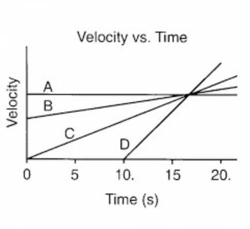 Analyze each line (A,B,C and D) on this graph to describe the acceleration, and

conclude which li