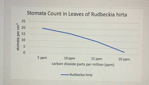The graph below shows the stomata counts of plant species Rudbeckia hirta, also known as black-eyed