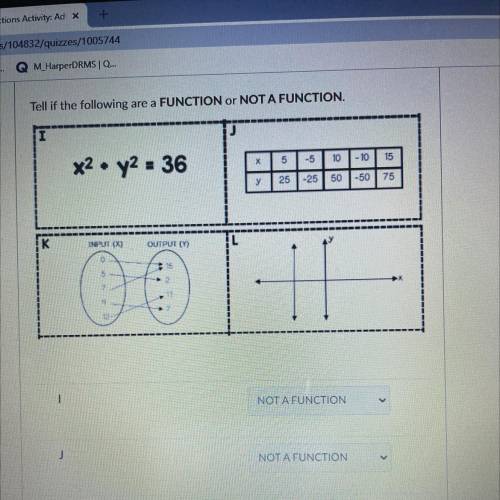 Function or not a function