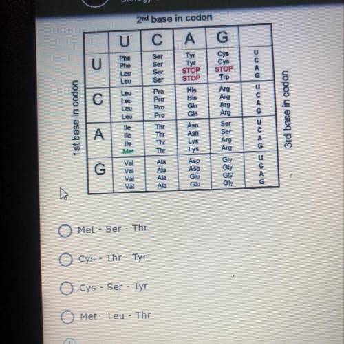 A segment of RNA reads A U G U C C A C A. Use the codon table to determine what sequence of amino a