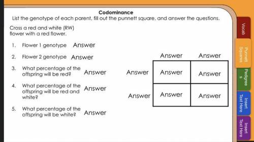 I need someone to fill in this Punnett Square for me