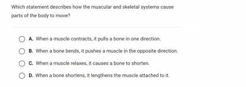 EXPERT HELP I'LL GIVE BRAINLIEST:

Which statement describes how the muscular and skeletal system