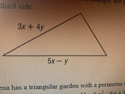 The measure of two side of a triangle are given if p is the perimeter and p=18x+9y find the measure