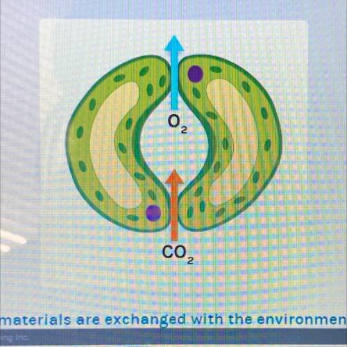 Which three materials are exchanged with the environment through

y openings such as this one?
1)S
