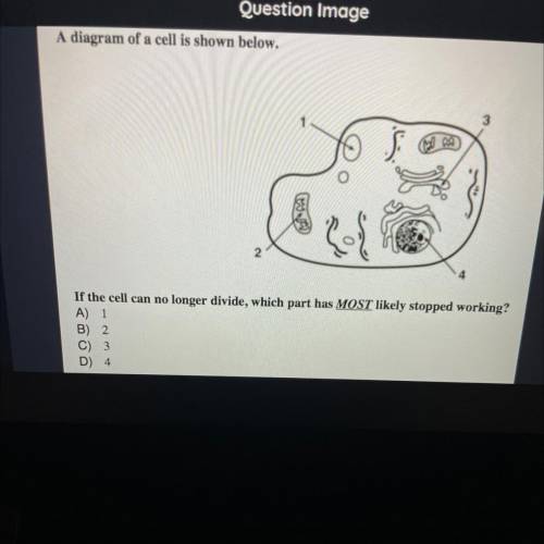 Biology question worth a grade