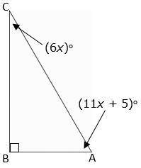 The angle measures of a triangle are shown in the diagram below.

What is the value of x?
Record y