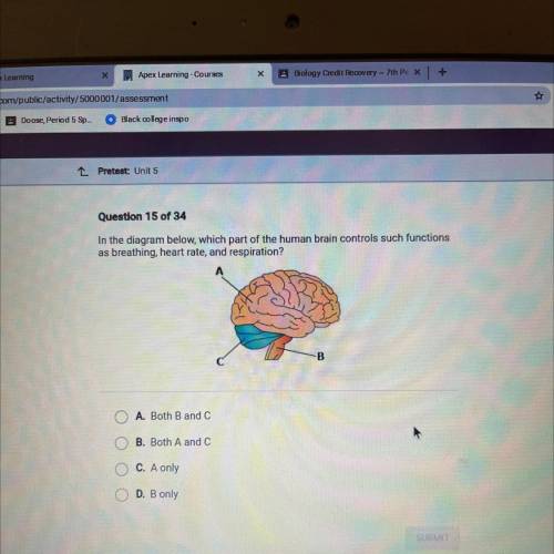 HELP ME PLEASE Question 15 of 34

In the diagram below, which part of the human brain controls suc