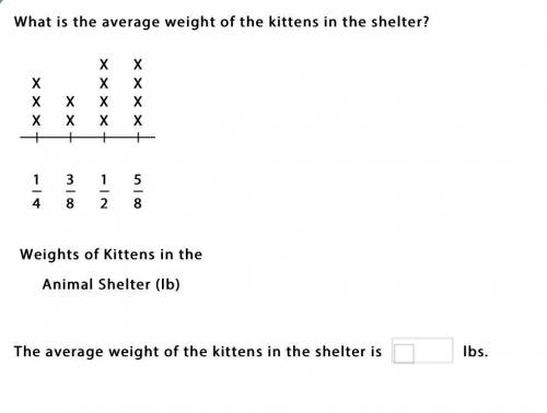 What is the average weight of the kittens in the shelter?

XX
X XX
XXXX
XXXX
nlplaintickn