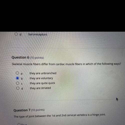 Did i choose the correct answer?