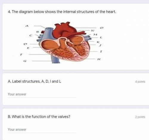 Label the heartI stg every heart diagram looks different how y'all be memorizing this jhit? ​