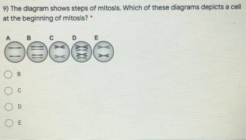 9) The diagram shows steps of mitosis. Which of these diagrams depicts a cell

at the beginning of