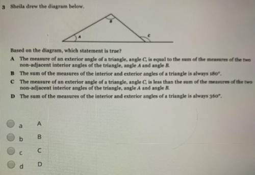 Sheila drew the diagram below.

Based on the diagram, which statement is true?
A The measure of an