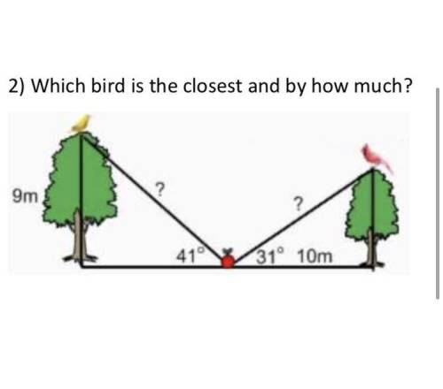 Which bird is closest and by how much