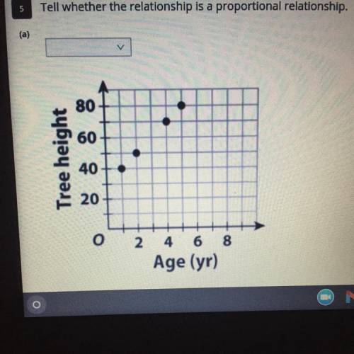 Tell whether the relationship is a proportional relationship. Explain your answer.