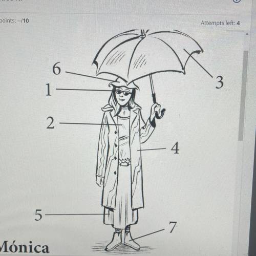 Look at the illustration of Monica. Write the names of the numbered items that correspond. Include