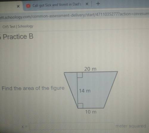 What's the area of the shape .​