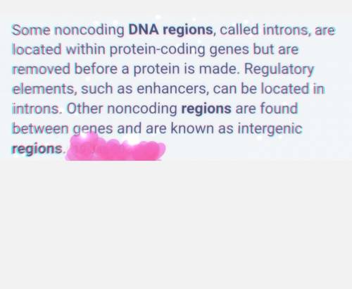 What regions of dna are used