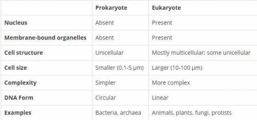 What are the difference between prokaryotic and eukaryotic organisms​