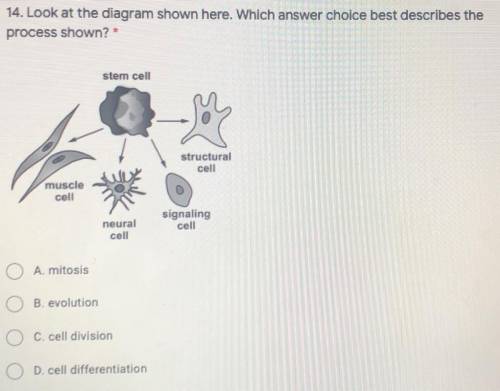 14. Look at the diagram shown here. Which answer choice best describes the

process shown?
A. mito