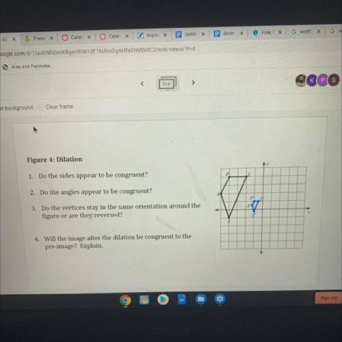 PLEASE HELP!!! i need help we’re doing group work and i don’t understand