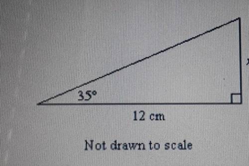 Find the value of x. Round the length to the nearest tenth. 350 12 cm Not drawn to scale

​