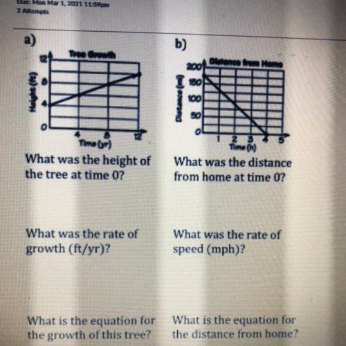 What was the height of

the tree at time 0?
What was the rate of
growth (ft/yr)?
What is the equat