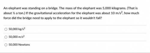 An elephant was standing on a bridge. The mass of the elephant was 5,000 kilograms. (That is about