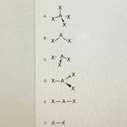 Identify the following molecular shapes.