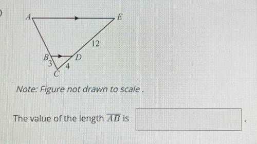 Please help with this geometry question for my daughter