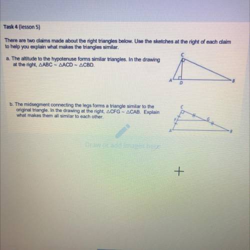 Please help due soon, I’ll give you a hug:)

There are two claims made about the right triangles b