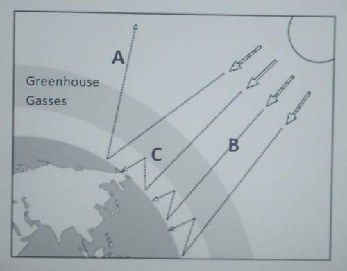 The diagram below shows a model of the greenhouse effect... Which process would happen MORE if the
