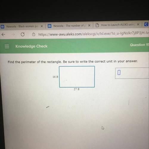 Find the perimeter of the rectangle
