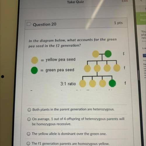 In the diagram below, what accounts for the green
pea seed in the f2 generation?
.