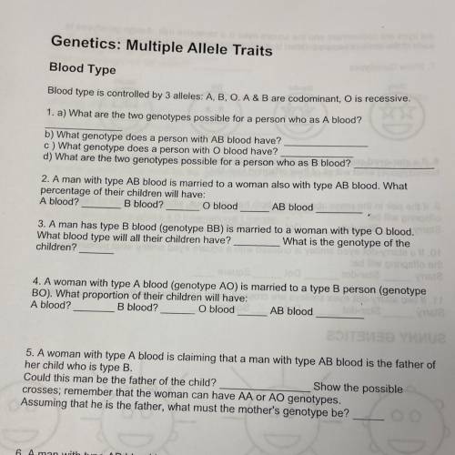 Genetics: Multiple Allele Traits