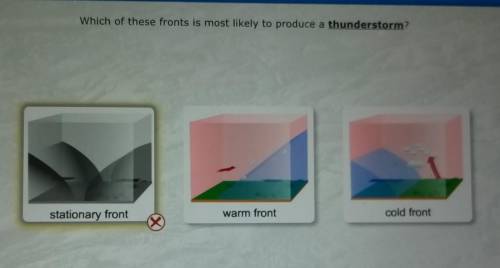Which of these fronts is most likely to produce a thunderstorm?

whoever to answer first gets a br