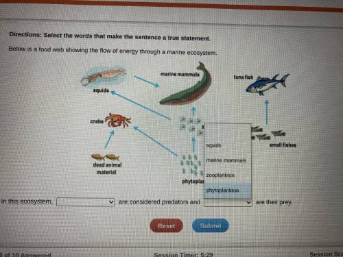 Below is a food web showing the flow of energy through a marine ecosystem

In this ecosystem ___ a