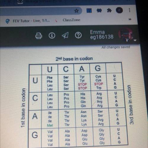 A segment of RNA reads A U G U C C A C A. Use the codon table to determine what the sequence of ami