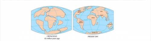 The maps above show the arrangements of Earth's continents and oceans 65 million years ago and at p