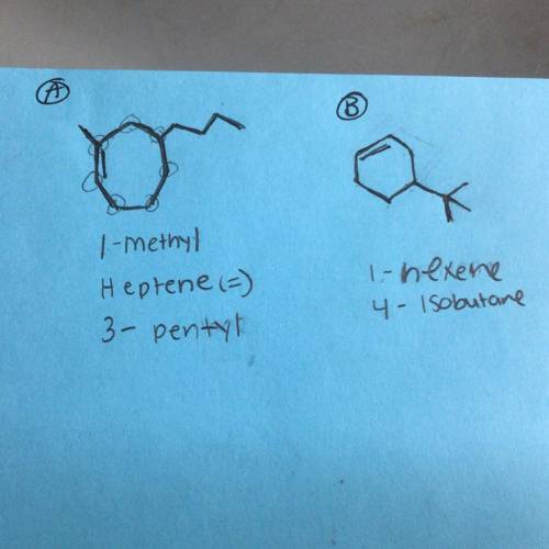 Name the alkenes below in IUPAC form. This is what I have figured out so far but having trouble put