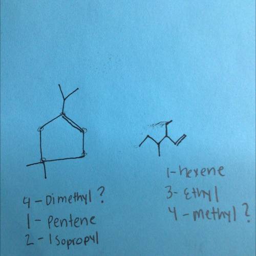 Name theses alkenes below? I tried to write out the functional groups but confused on the dimethyl