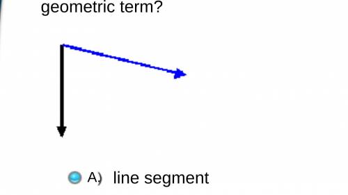 The highlighted part of this picture is a good representation of which geometric term?

A. line se