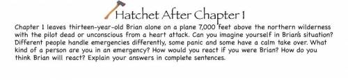 Hatchet Chapter 1, What would you do in situation?
BTW PLS HELP ILL GIVE BRAINLIEST