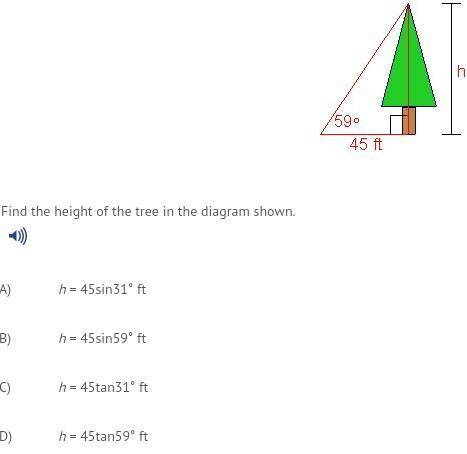 Find the height of the tree in the diagram shown.​