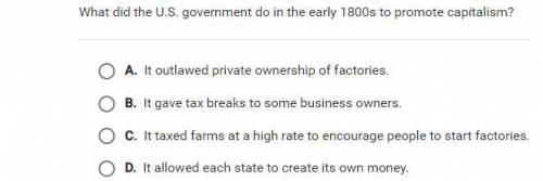 What did the U.S government do in the early 1800s to promote capitolism