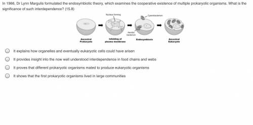 In 1966, Dr Lynn Margulis formulated the endosymbiotic theory, which examines the cooperative exist