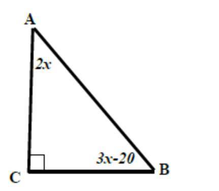 What does x equal?

What is the measure of angle CAB?
What is the measure of CBA?
(explain your an