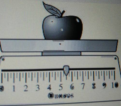 The scale below shows the weight of one apple. If Carly put another apple on the scale with the sam