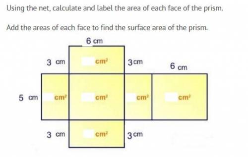 NO one helps me on this app

using the net calculate and label the area of each face of the prism.