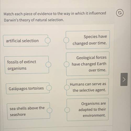 Match each piece of evidence to the way in which it influenced

Darwin's theory of natural selecti